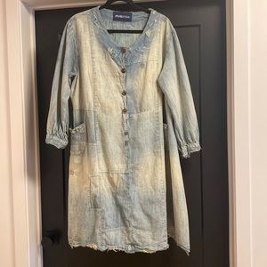 Magnolia Pearl denim coat dress